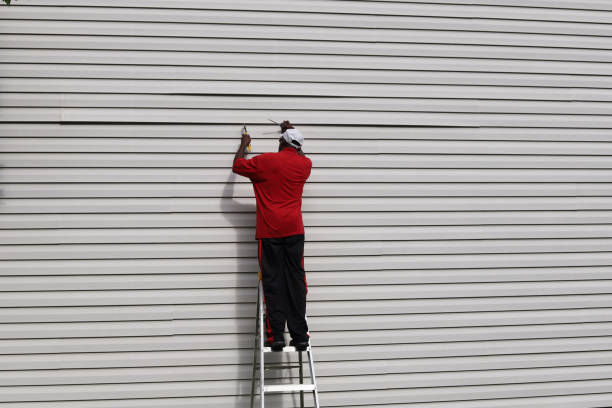 Best Insulated Siding Installation  in Hunters Creek, FL